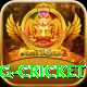 1st inning betting cricket Premium v3.9.7