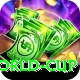 2015 world cup Pro