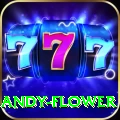 andy flower Pro Edition v1.0.5
