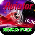bingo Max v3.8.8