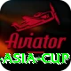 cricbuzz asia cup Max v2.9.1