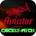 cricket pitch Elite v4.1.7
