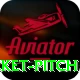 cricket pitch Elite v4.1.7