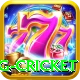 eng cricket Premium v5.8.5