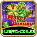 flying chess VIP Pro v2.4.5