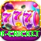 god of cricket Apps (Tools & Injectors) Master v1.0.5