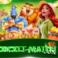 india cricket match Pro Edition v5.9.7