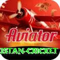 india pakistan cricket Pro v1.6.8