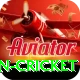 india pakistan cricket Pro v1.6.8