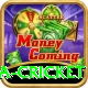 india sri lanka cricket Games (Casino & Earning) Deluxe v4.5.0