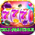india upcoming cricket matches Premium v1.4.9