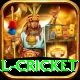 international cricket Games (Casino & Earning) Elite v1.3.1