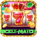 international cricket match VIP Pro v3.1.7