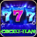 ireland cricket team Pro