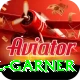 joel garner Apps (Tools & Injectors) Deluxe v2.6.7