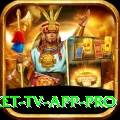 live cricket tv app Prime Casino App