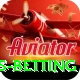 match highlights betting Elite v3.1.9