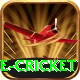 mobile cricket Deluxe v3.9.9