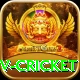 ndtv cricket Premium v4.1.1