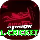nepal cricket Gold Edition v2.9.2