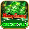 nepal cricket VIP Gaming App