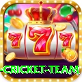 new zealand cricket team Games (Casino & Earning) Master v2.3.4