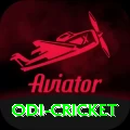 odi cricket Premium Edition v4.4.2