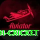 odi cricket Premium Edition v4.4.2