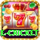 online cricket Games (Casino & Earning) Master v4.5.0