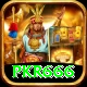 pkr666 Apps (Tools & Injectors) Max v1.3.7