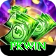PKWin Ultimate v4.3.9