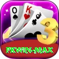 PKWin Live Pro v1.2.8