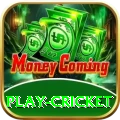 play cricket VIP Edition v3.7.0