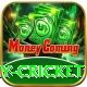 play cricket VIP Edition v3.7.0