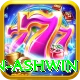 ravichandran ashwin Pro Max v1.1.8