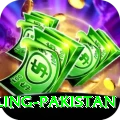 responsible gambling pakistan Apps (Tools & Injectors) Gold v4.6.0