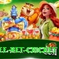 risk free bet cricket VIP Pro v5.2.2