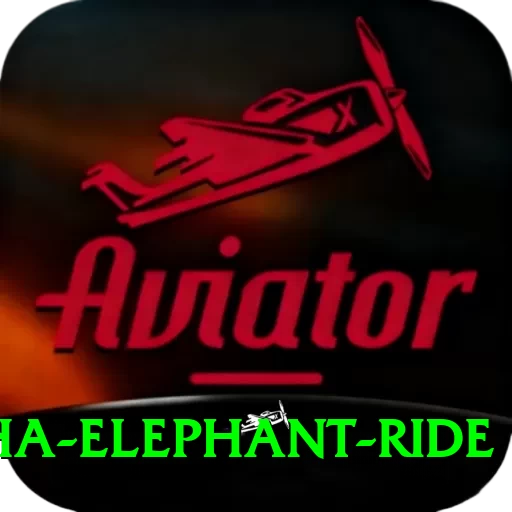 sauraha elephant ride Max Pro v1.2.4 - 2