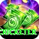 shahrukh khan cricketer Gold v5.0.2