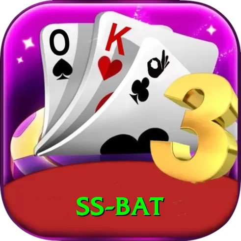 ss bat Pro1 v3.6.1 - 2