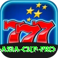 t20 asia cup Slots Champion v5.7.2