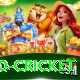 t20 cricket VIP v5.9.6