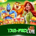 t20 King v4.2.8