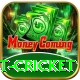 test cricket Pro v3.8.5