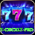 test cricket Bonus Premium v1.4.2