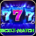 to day cricket match Plus Edition v4.8.4