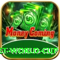 under 19 cricket world cup Deluxe v5.0.1