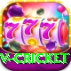 v cricket Master v2.5.4