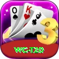 wc t20 Master Pro v5.1.2