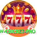 willow cricket Casino Official v3.0.4